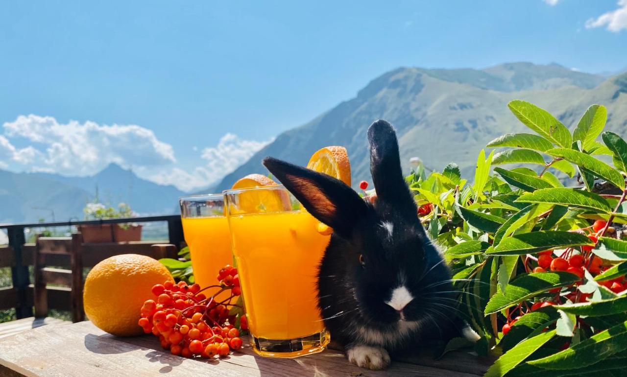 Hotel Kazbegi 1963 Екстер'єр фото